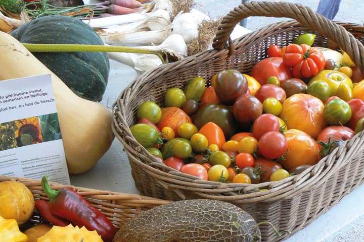 Panier de légumes