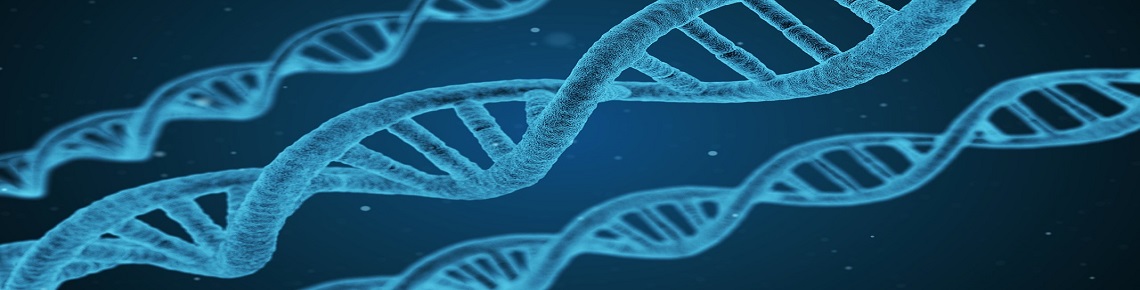image formation